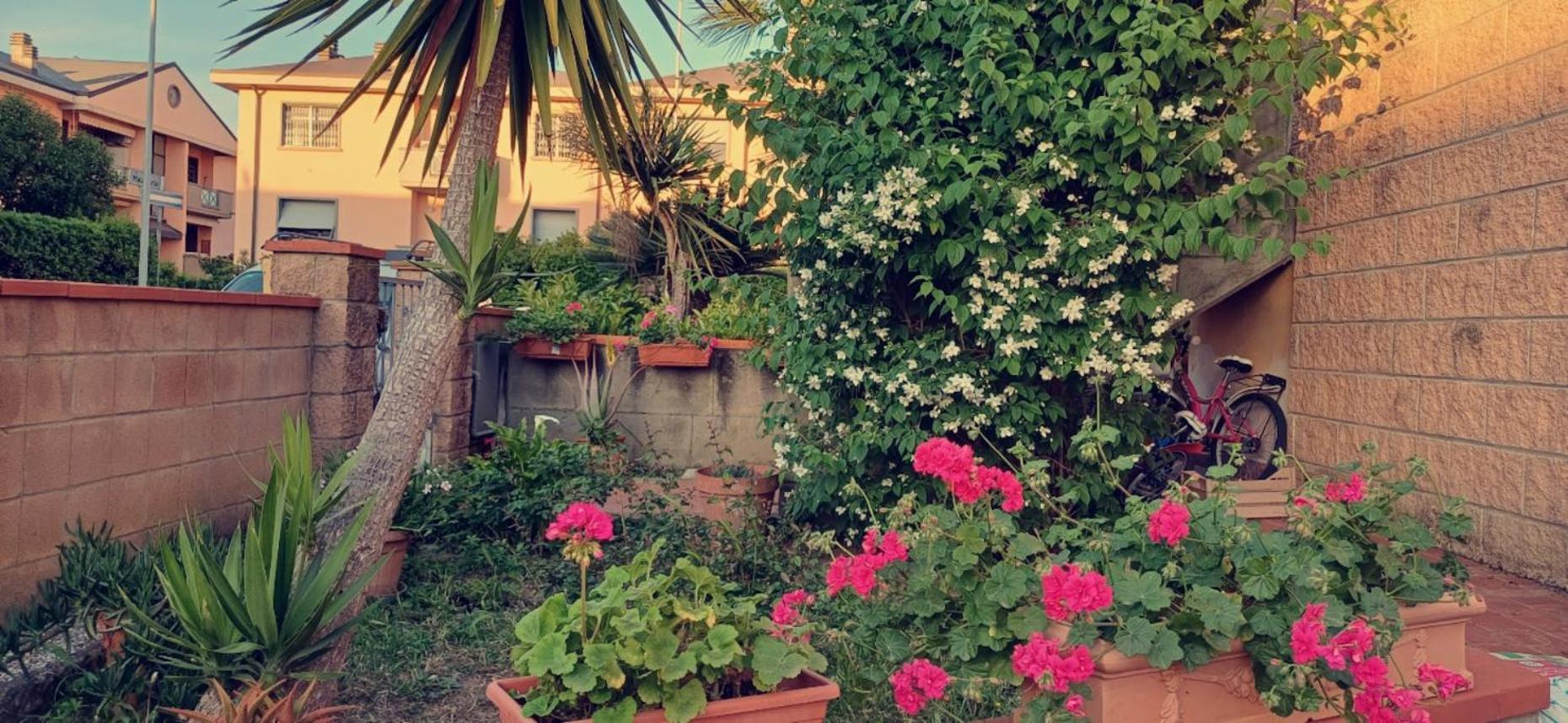 Stella Otel Cecina  Dış mekan fotoğraf